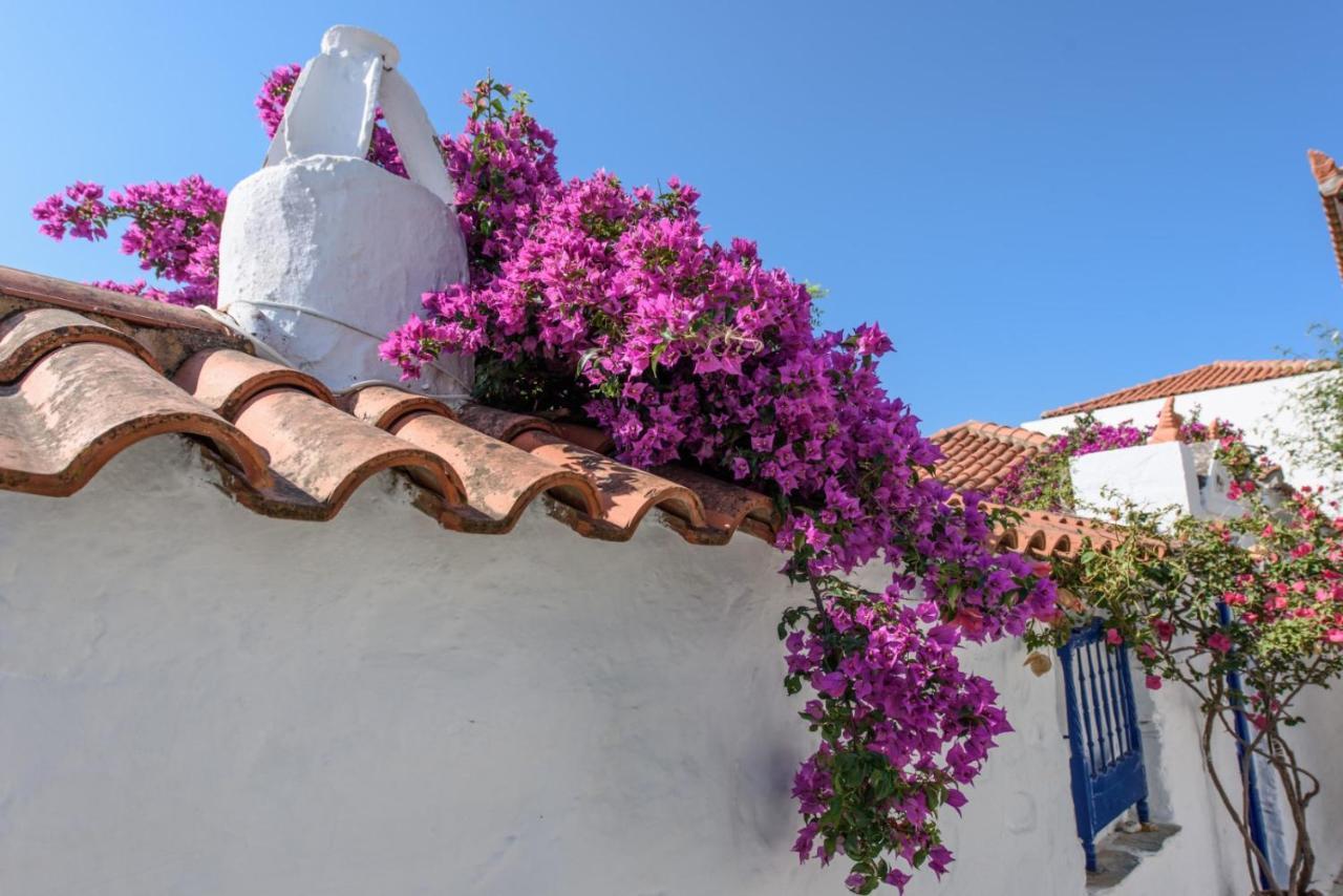 Villea Seaview Apartments Skopelos Town Bagian luar foto